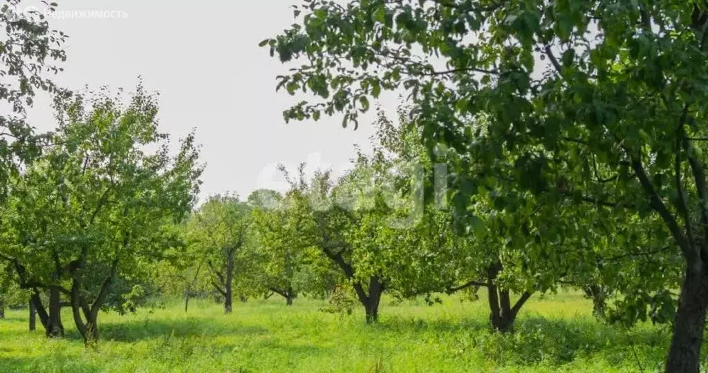 Участок в Тульская область, городской округ Тула, деревня Погромное ... - Фото 2