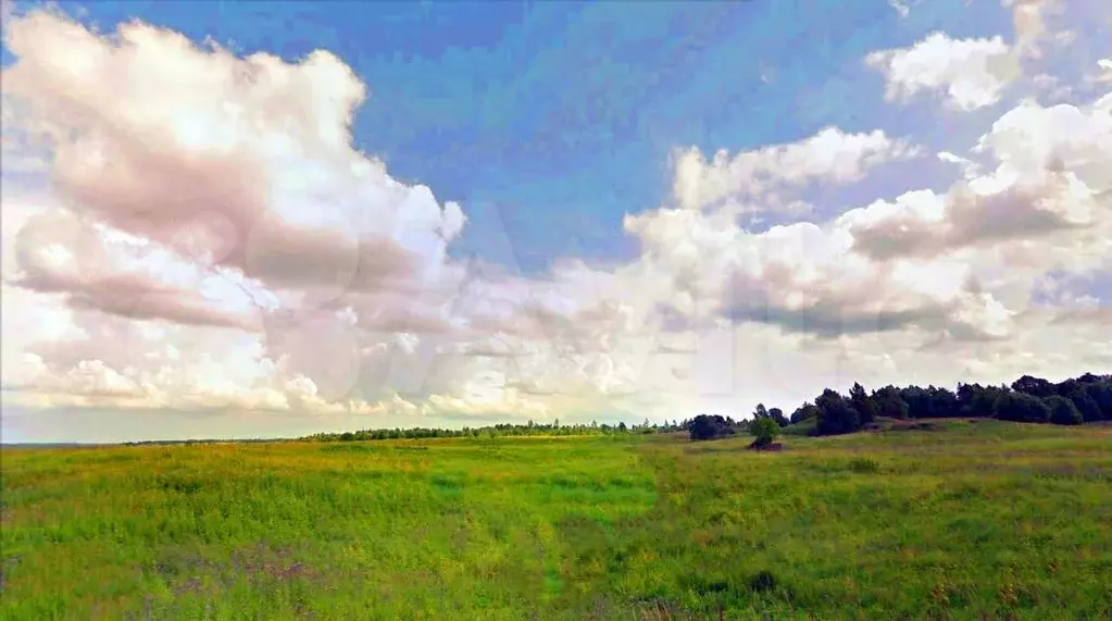 Участок 2,45 га (СНТ, ДНП) - Фото 0