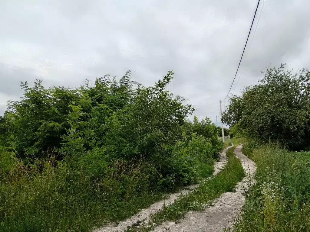 Участок в Белгородская область, Строитель Яковлевский городской округ, ... - Фото 1