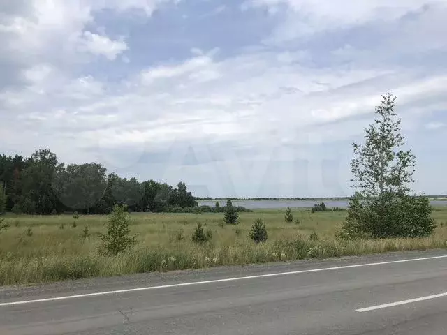Участок 3,6 га (СНТ, ДНП) - Фото 0