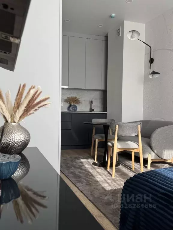 Студия Москва проезд Серебрякова, 11к2 (30.0 м) - Фото 1