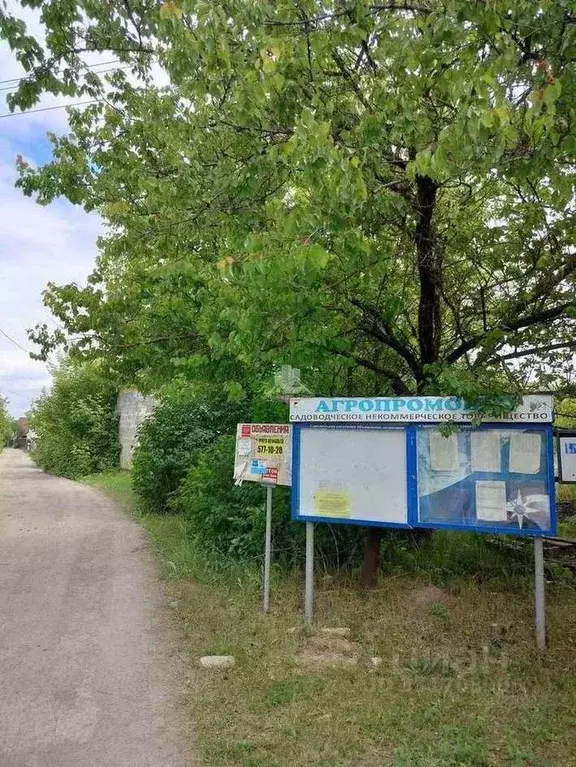 Дом в Белгородская область, Яковлевский муниципальный округ, ... - Фото 1