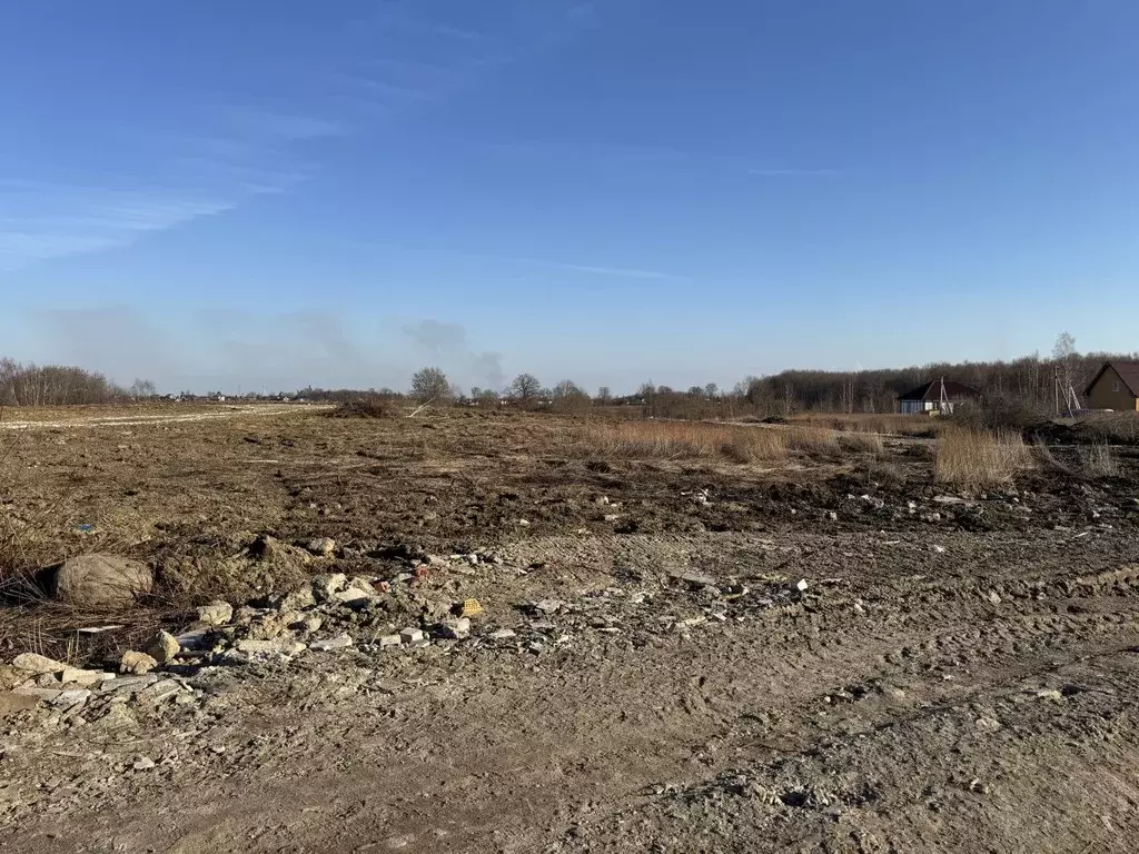 Участок в Калининградская область, Гурьевский муниципальный округ, ... - Фото 2