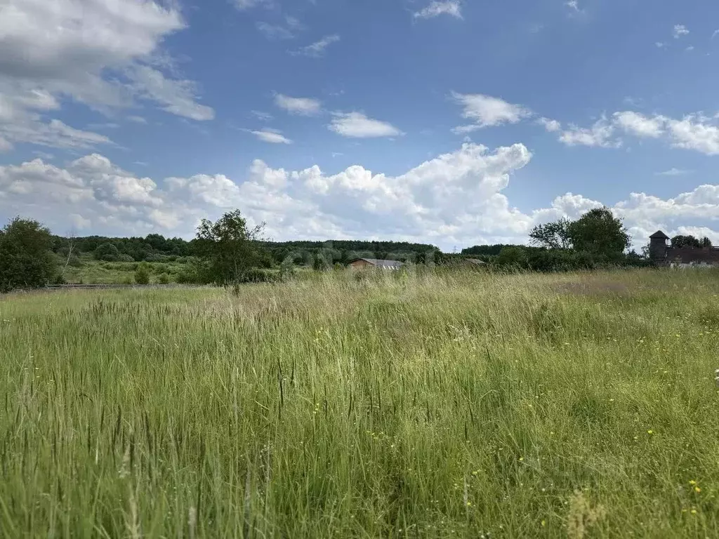 Участок в Марий Эл, Медведевский район, Руэмское с/пос, д. Нолька ул. ... - Фото 2