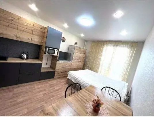 Студия Новосибирская область, Новосибирск ул. Забалуева, 102 (23.0 м) - Фото 0