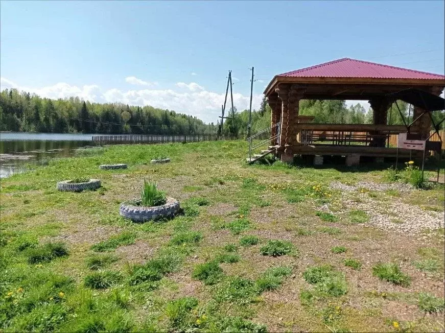 Участок в Пермский край, Юрлинский муниципальный округ, д. Чужья  ... - Фото 2