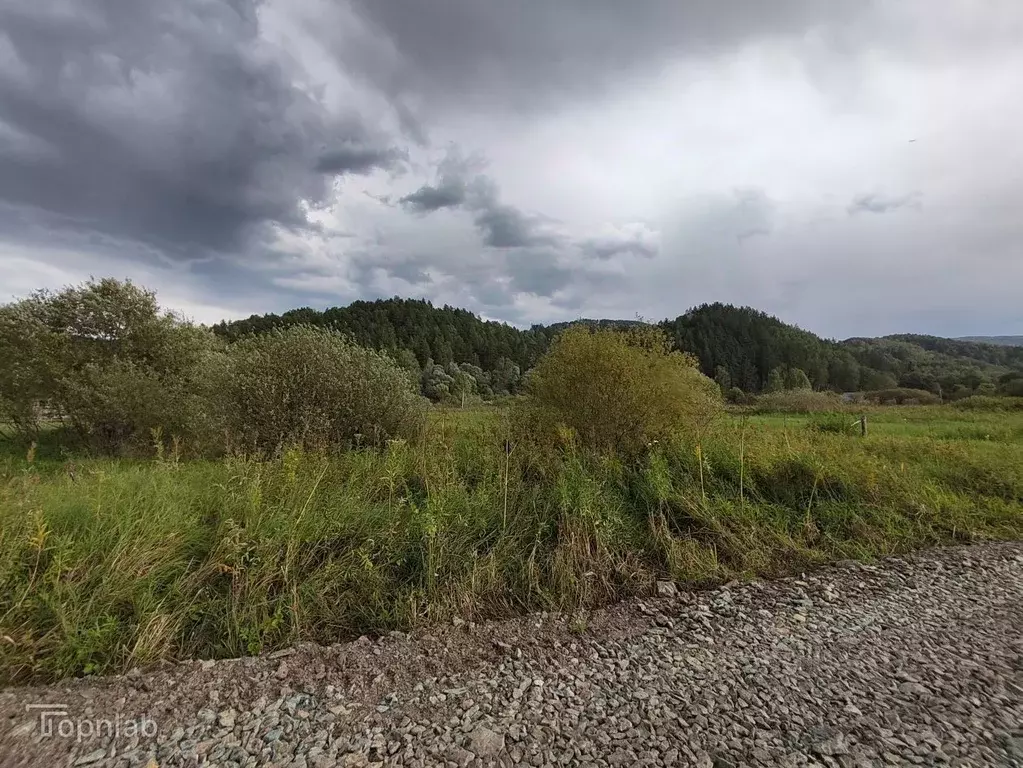 Участок в Алтай, Майминский район, Поселок филиал ул. Мира, 23 (10.0 ... - Фото 2