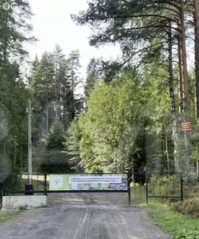 Участок в Деревянское сельское поселение, СНТ Педасельга (15 м) - Фото 0