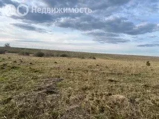 Участок в Пермский край, Кунгурский муниципальный округ, деревня ... - Фото 1