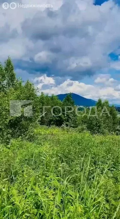 Участок в посёлок городского типа Шерегеш, СНТ Шерегешевец, 2-я Дачная ... - Фото 2