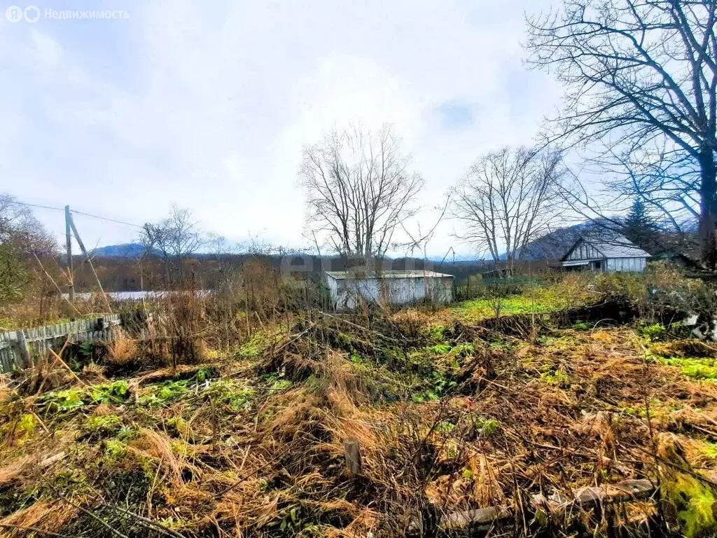 Участок в Камчатский край, Елизовский муниципальный округ, село ... - Фото 2