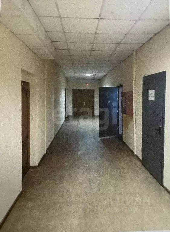 Помещение свободного назначения в Брянская область, Брянск Московский ... - Фото 1