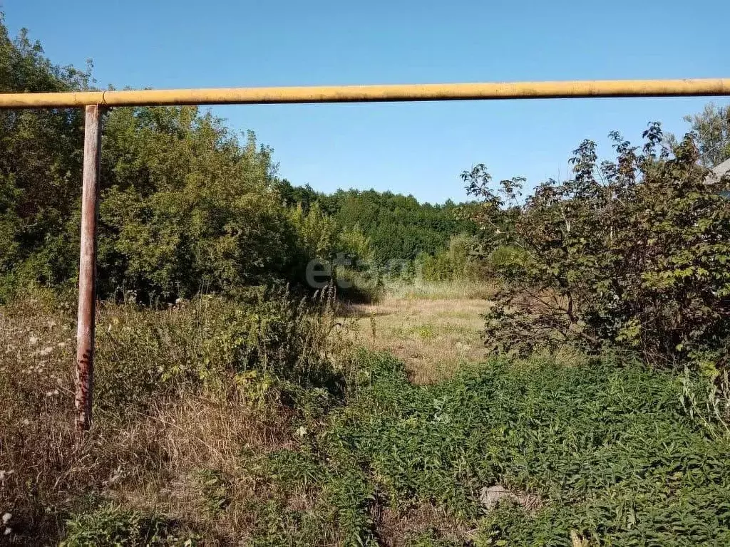 участок в белгородская область, яковлевский муниципальный округ, с. . - Фото 0