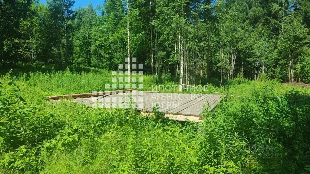 Участок в Ханты-Мансийский АО, Ханты-Мансийский район, д. Шапша ... - Фото 0