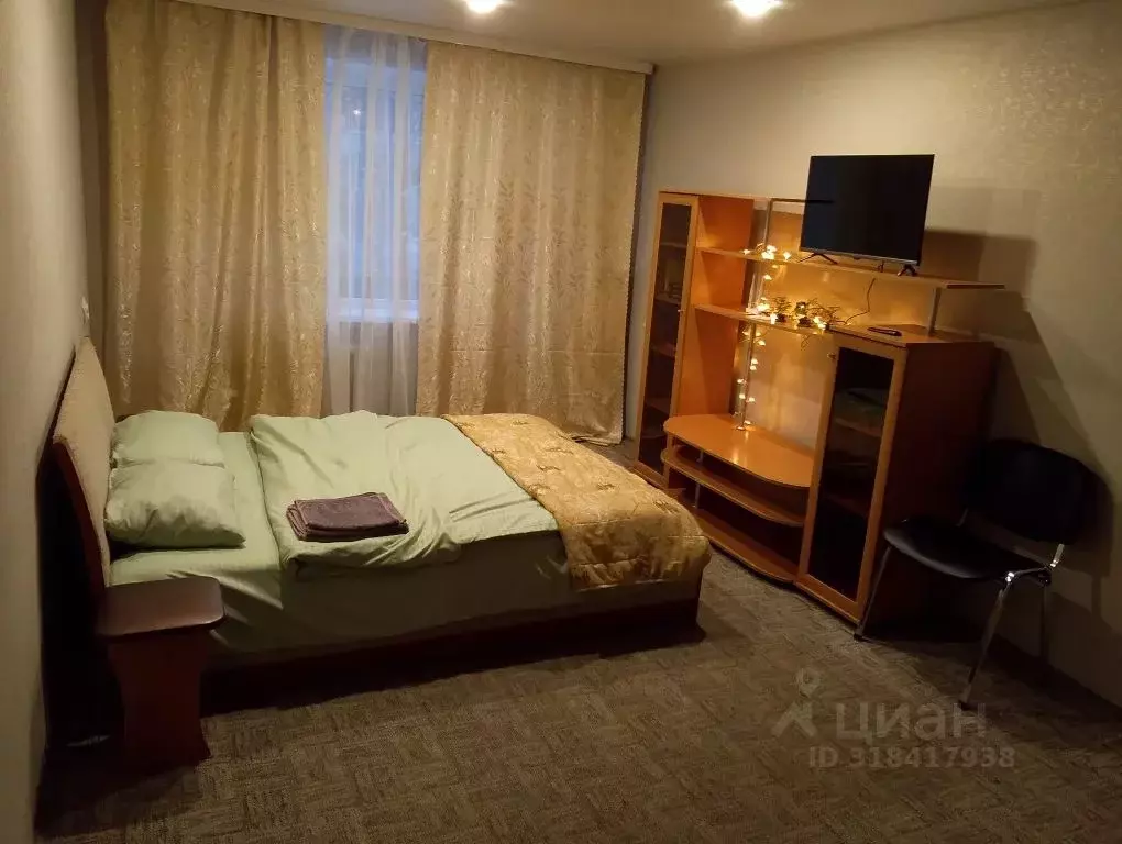 1-к кв. Псковская область, Псков Рижский просп., 64 (36.0 м) - Фото 1