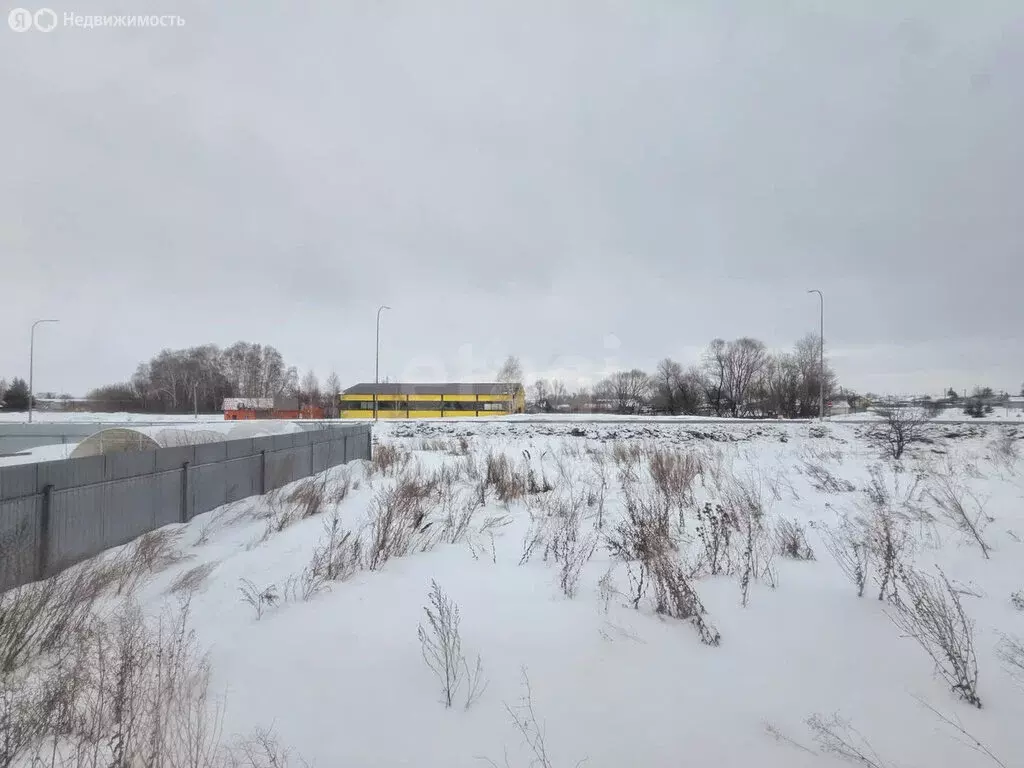 Участок в Мензелинск, улица Хадичи Салимовой (10 м) - Фото 1