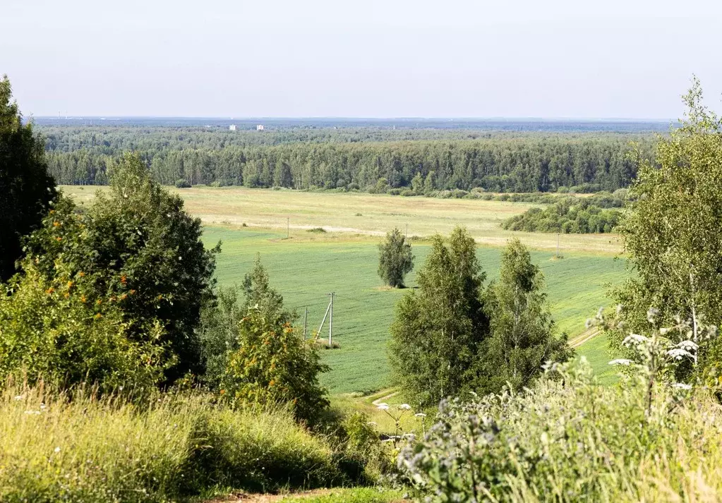 Участок в Ярославская область, Ярославский муниципальный округ, д. ... - Фото 2
