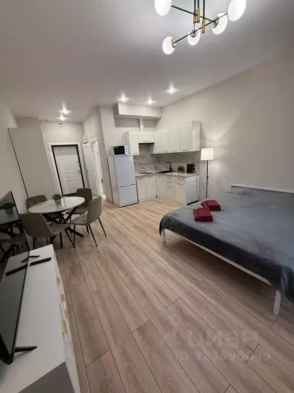 Студия Курская область, Курск ул. Халтурина, 8 (28.0 м) - Фото 2