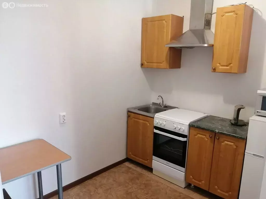 Квартира-студия: село Чигири, улица Воронкова, 19 (29 м) - Фото 1