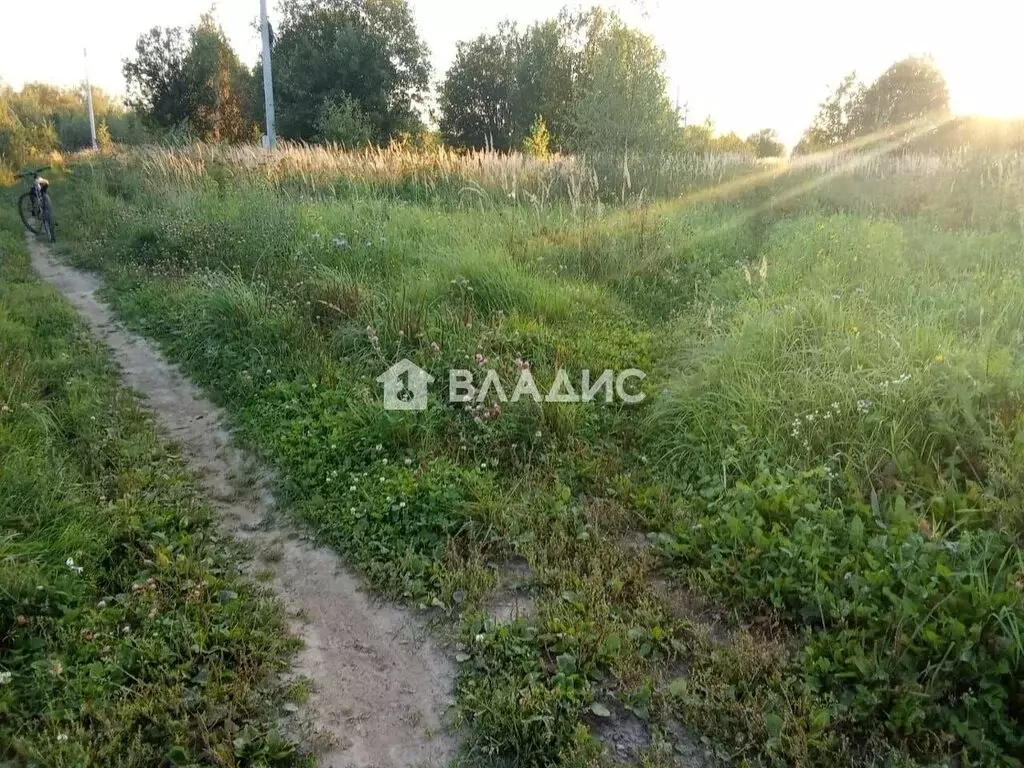 Участок в Московская область, городской округ Щёлково, деревня ... - Фото 2