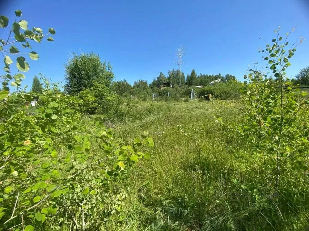 Дом в Иркутская область, Шелеховский район, Большелугское ... - Фото 1
