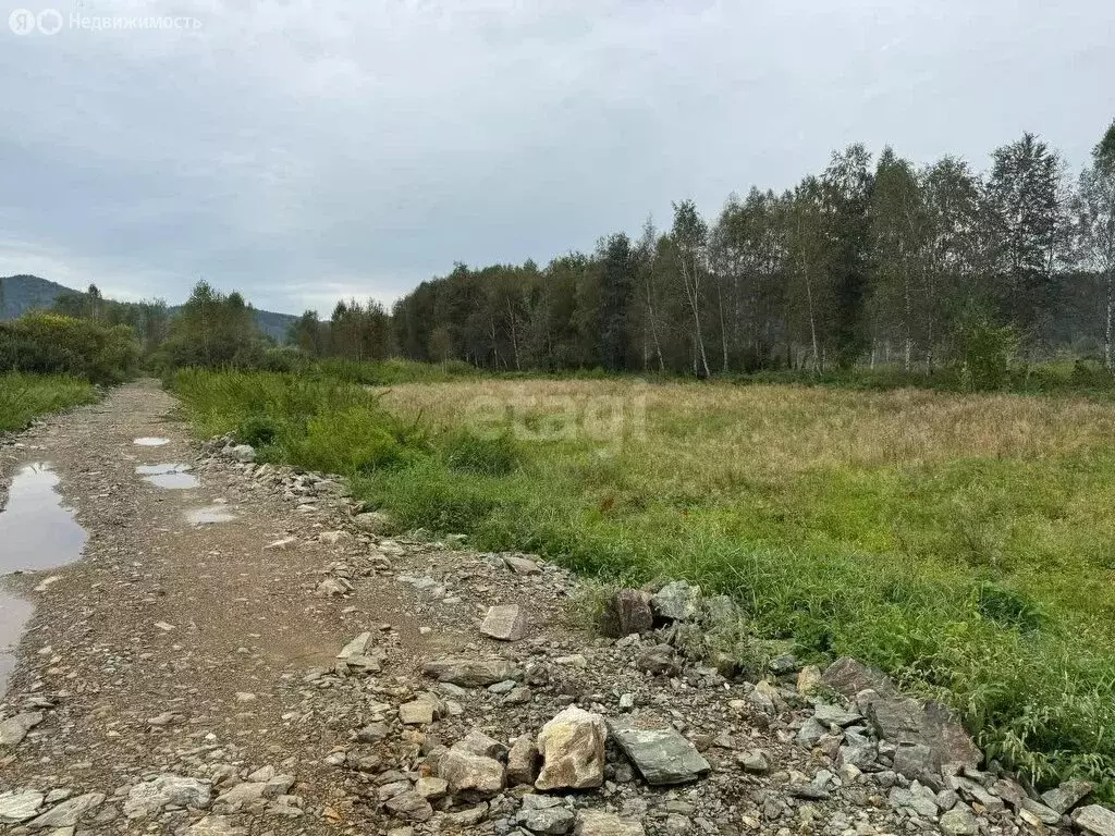 участок в майминский район, село кызыл-озек (10 м) - Фото 1