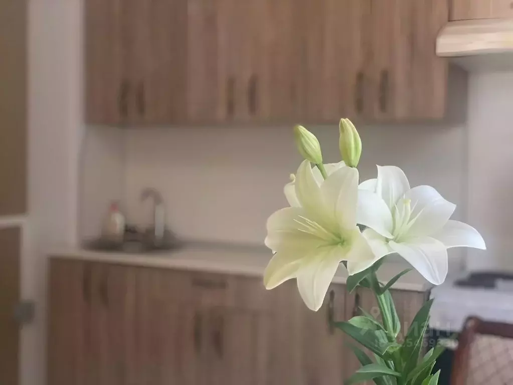 1-к кв. Краснодарский край, Анапа Кордонный пер., 4 (28.0 м) - Фото 1