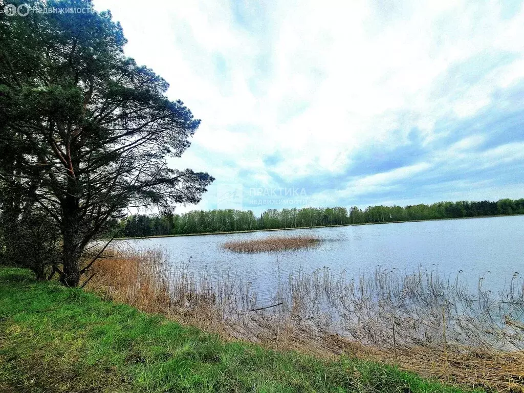 Дом в деревня Новосёлки, 228А (86.9 м) - Фото 2