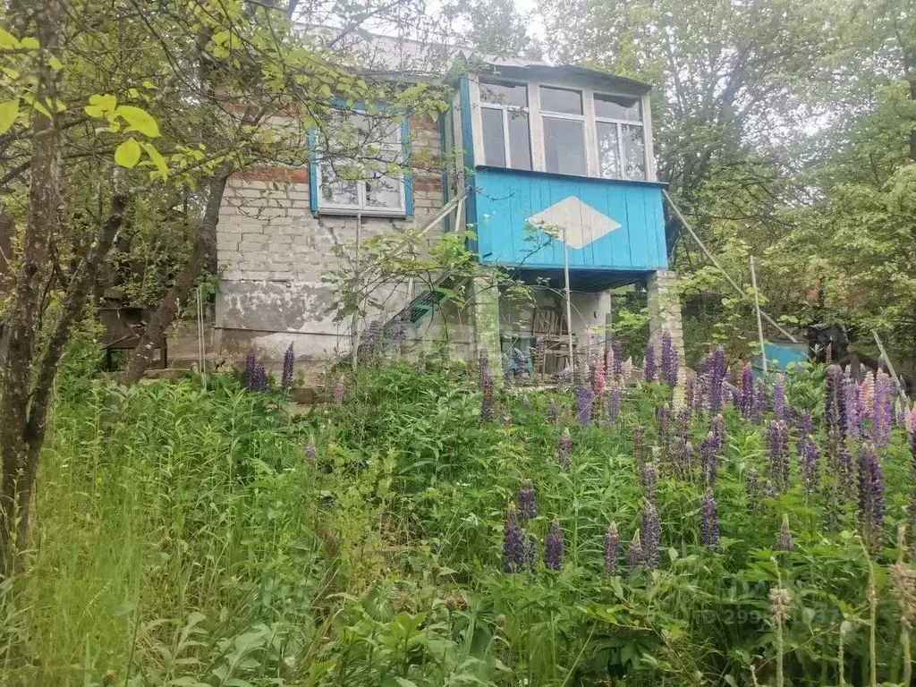 Дом в Белгородская область, Белгородский район, Беломестненское с/пос, ... - Фото 0