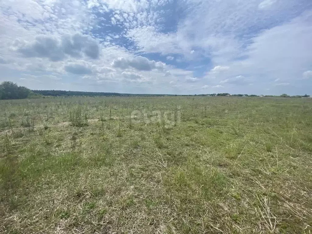 Участок в Белгородская область, Старооскольский городской округ, с. ... - Фото 1