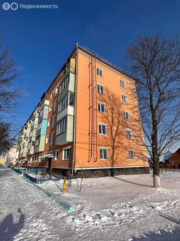 2-комнатная квартира: Ефремов, улица Ломоносова, 1 (43 м) - Фото 1