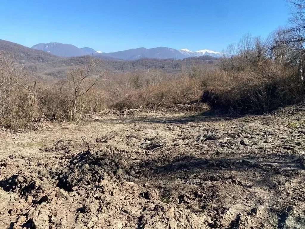 Участок в Краснодарский край, Сочи городской округ, с. Красная Воля  ... - Фото 0