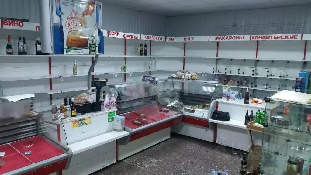 Торговая площадь в Мордовия, с. Старое Шайгово ул. Рабочая, 11 (53 м) - Фото 1