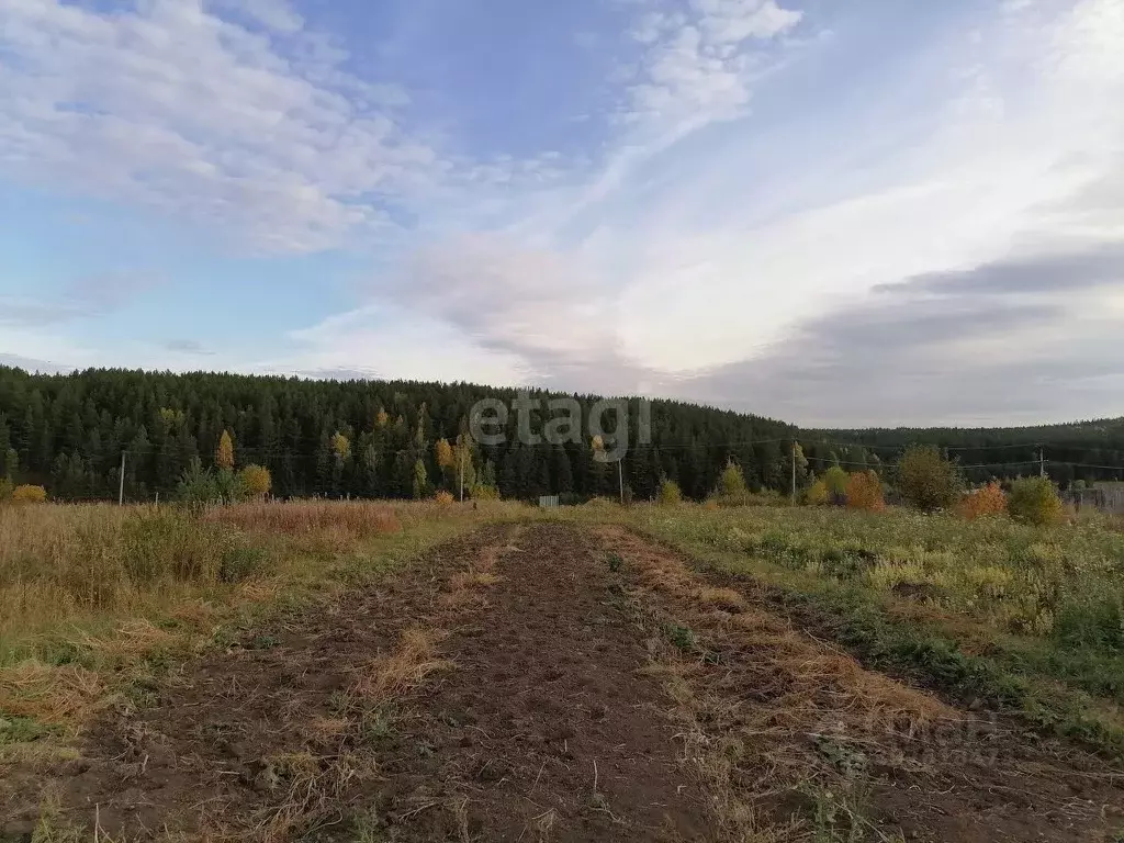 Участок в Свердловская область, Кушва  (15.4 сот.) - Фото 1