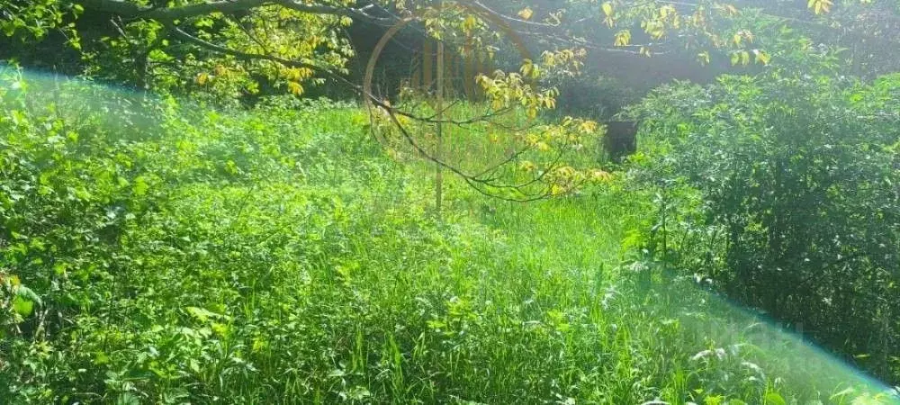 Участок в Ставропольский край, Кисловодск Проектировщик садовое ... - Фото 2