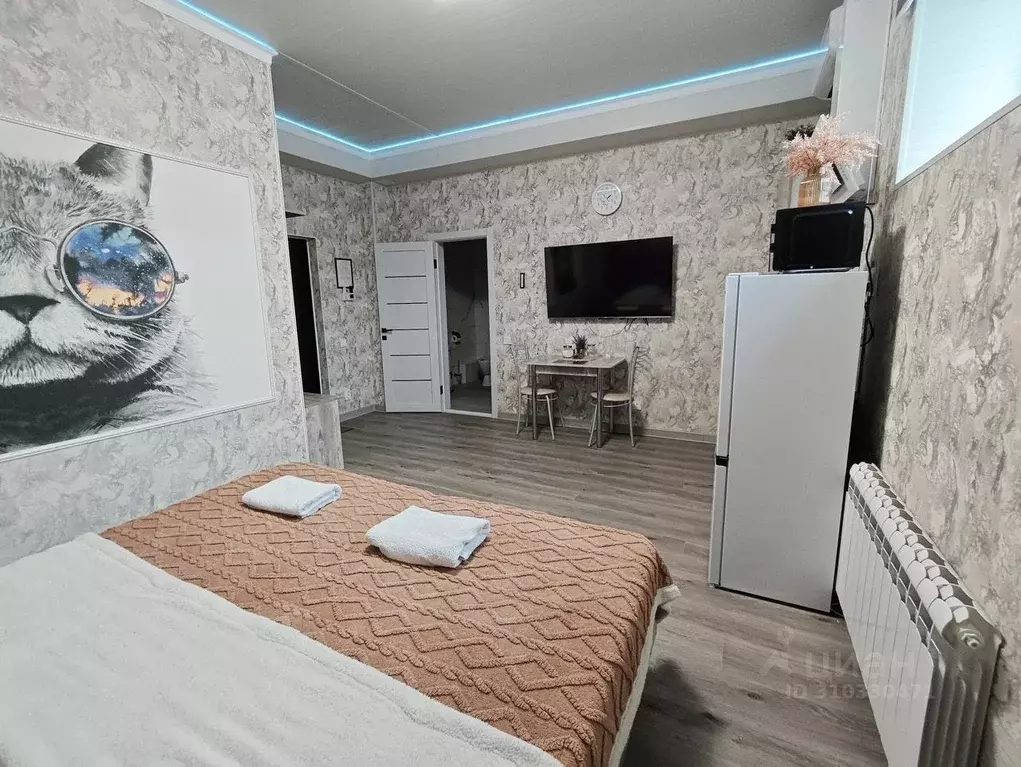 1-к кв. Ростовская область, Шахты просп. Красной Армии, 136 (25.0 м) - Фото 2