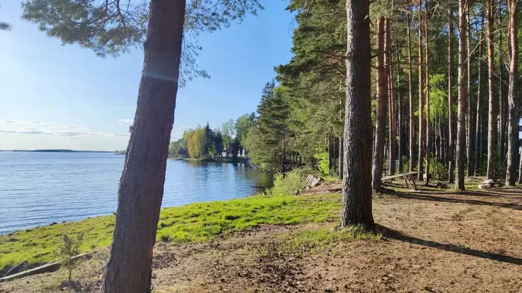 Дом в Тверская область, Селижаровский муниципальный округ, д. Ланино ... - Фото 2