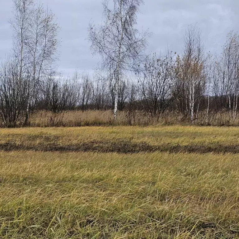 Участок в Московская область, Луховицы муниципальный округ, д. Солчино ... - Фото 0