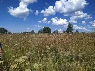Участок в Калужская область, Перемышльский район, Гремячево с/пос, с. ... - Фото 0