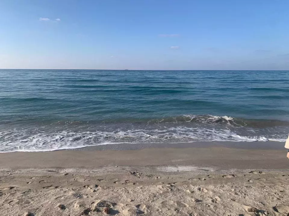 Участок в Крым, Сакский район, Молочненское с/пос, с. Витино ул. ... - Фото 1