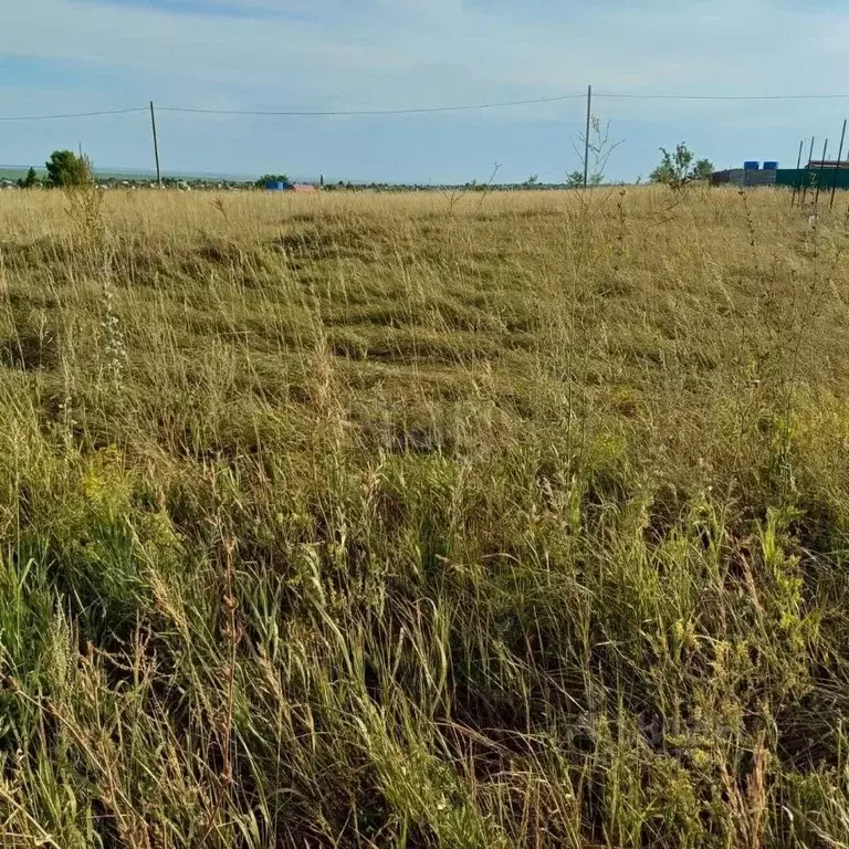 Участок в Оренбургская область, Оренбургский район, с. Благословенка  ... - Фото 2