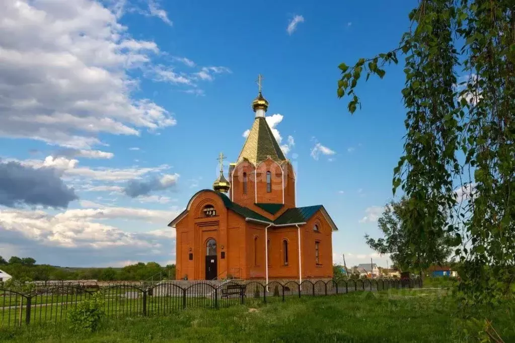 Участок в Белгородская область, Алексеевский городской округ, с. ... - Фото 1