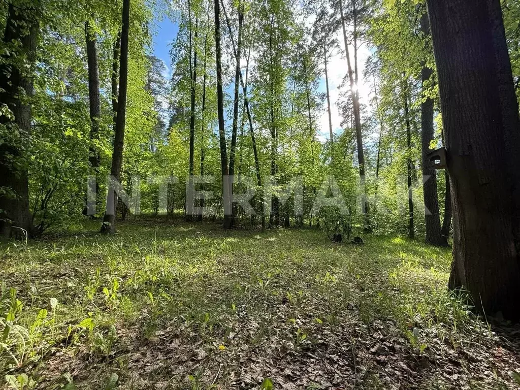 Участок в Москва Одинцовская ул. (30.0 сот.) - Фото 1