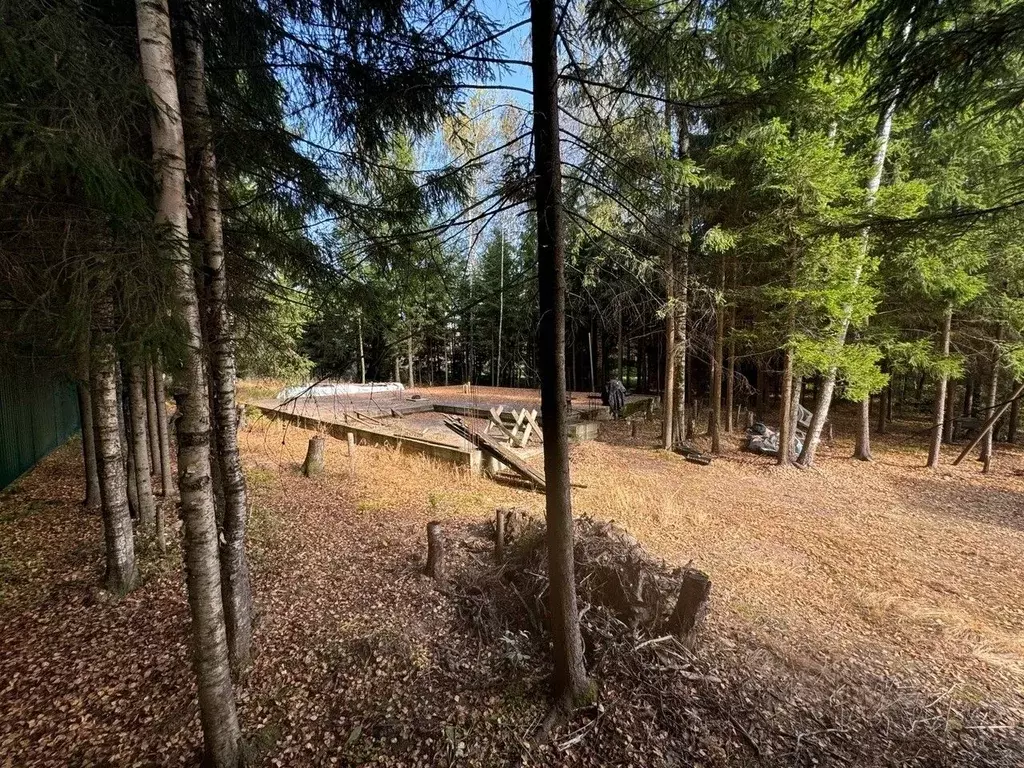 Участок в Московская область, Солнечногорск городской округ, с. ... - Фото 1