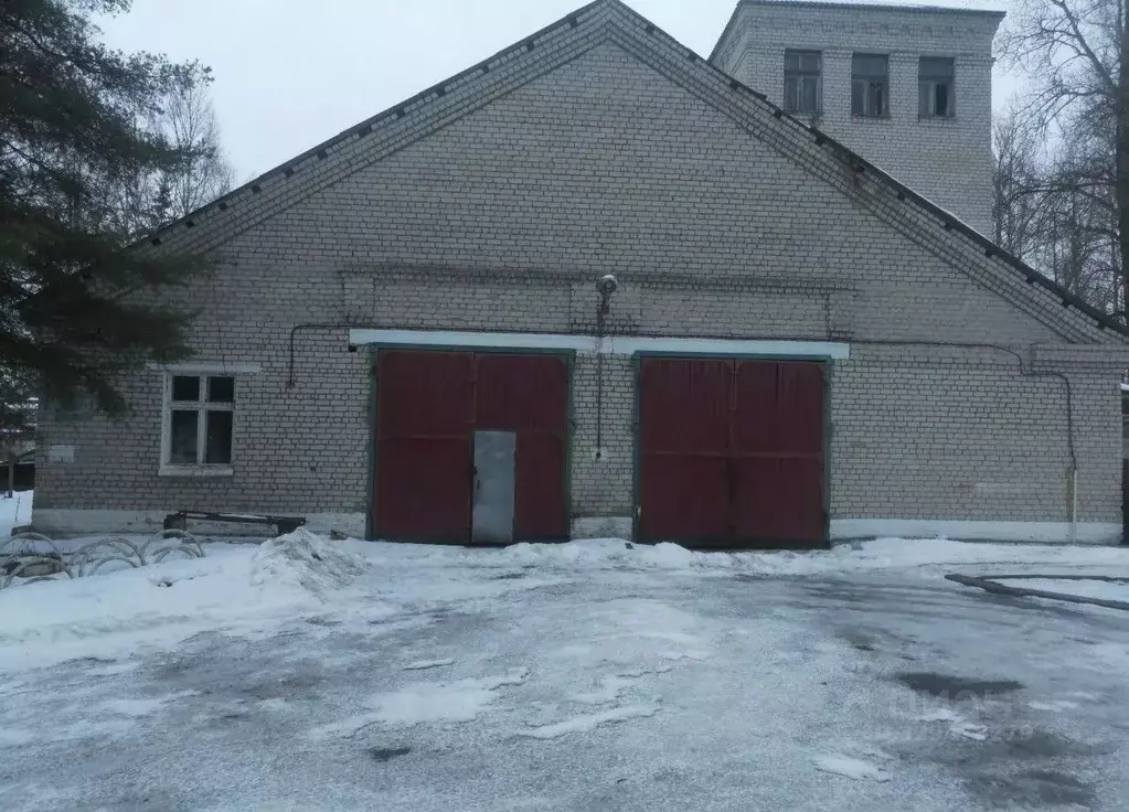 Помещение свободного назначения в Ленинградская область, Тосненское ... - Фото 1