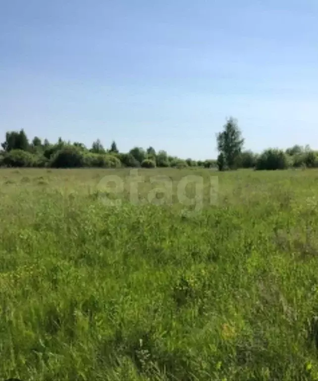 Участок в Вологодская область, Сокольский муниципальный округ, ... - Фото 2