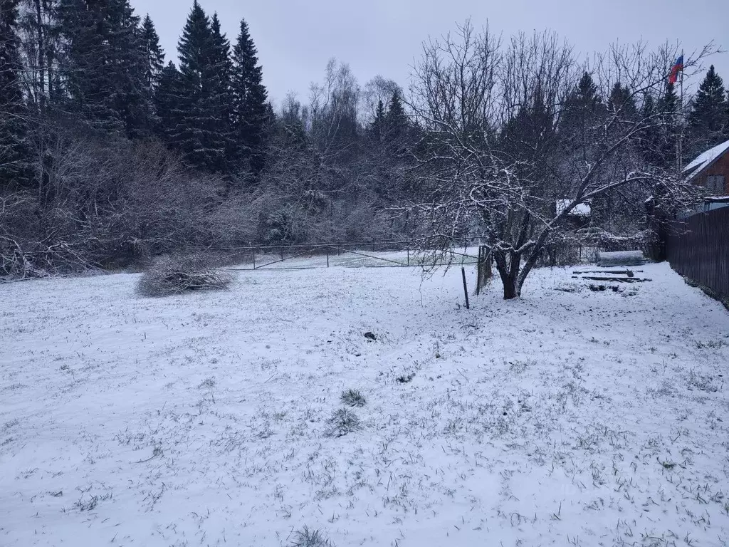 Участок в Московская область, Солнечногорск городской округ, д. ... - Фото 2