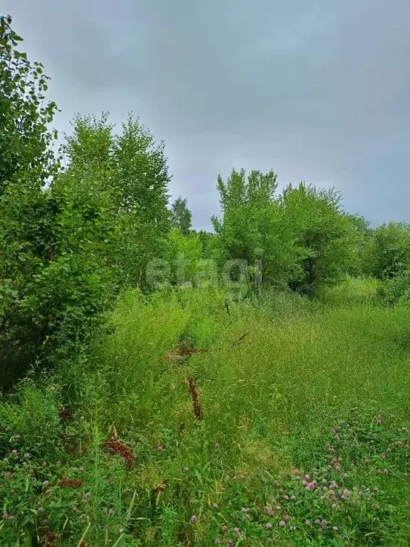 Участок в Амурская область, Благовещенский район, с. Владимировка  ... - Фото 1