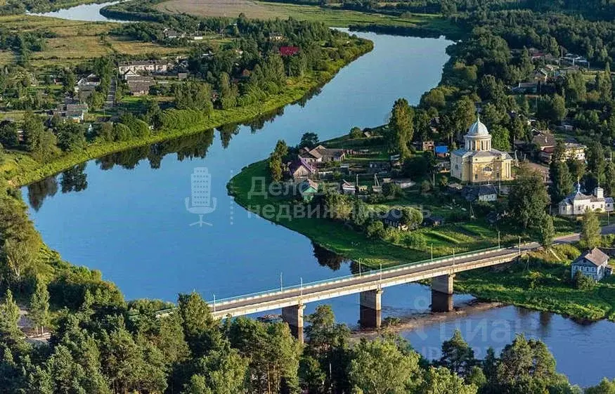 Дом в Новгородская область, Любытинское с/пос, д. Брод 12 (42 м) - Фото 1