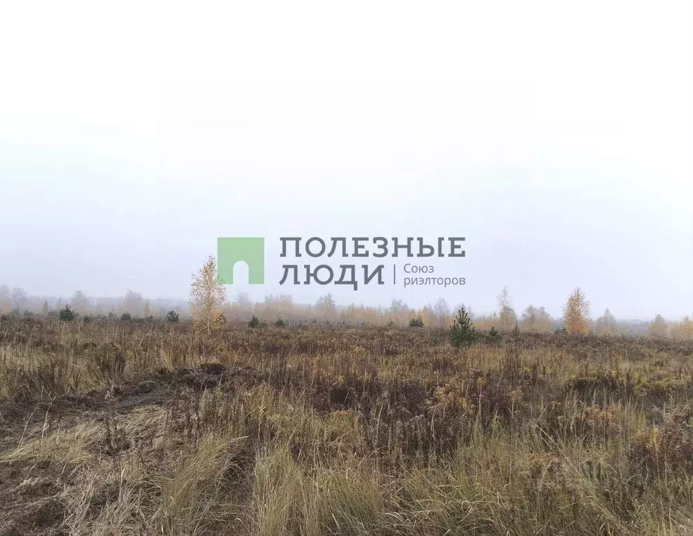 Участок в Орловская область, Орловский муниципальный округ, д. ... - Фото 2